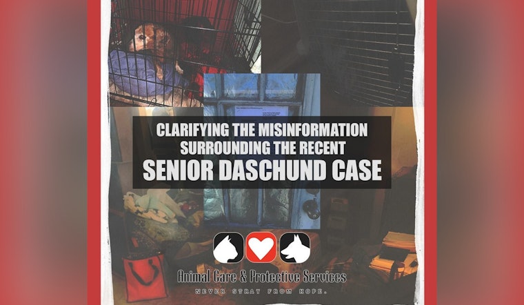 Jacksonville Senior Dachshund Drama Puts City Shelter In Hot Seat