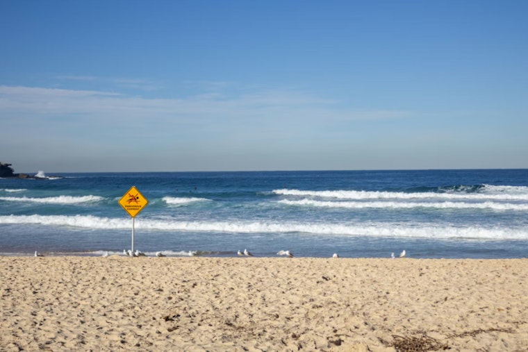 Rip Currents, Rumbles And Rising Heat Put Jacksonville Beaches On Notice