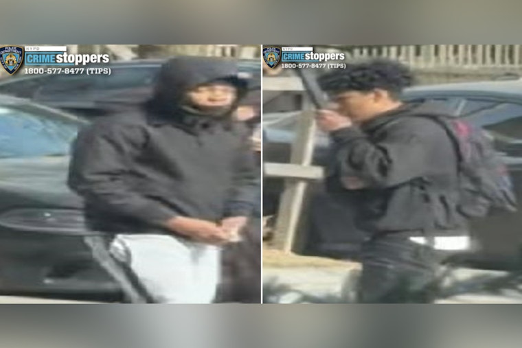 Jamaica Teen Jumped For Sneakers As Cops Hunt Stickup Duo