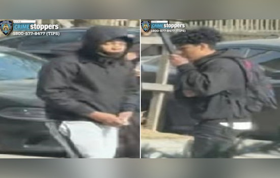 Jamaica Teen Jumped For Sneakers As Cops Hunt Stickup Duo