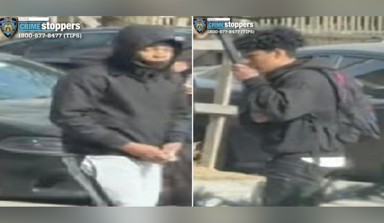 Jamaica Teen Jumped For Sneakers As Cops Hunt Stickup Duo