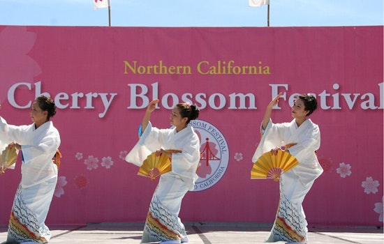 Japantown Cherry Blossom Bash Snarls Traffic, Sends Muni Off Its Usual Route