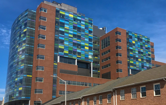 Johns Hopkins Tests Digital Heart Twin To Guide VT Ablation