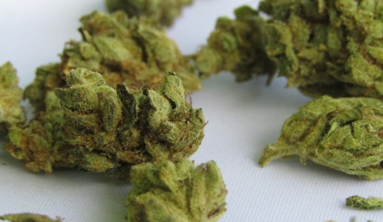 Joint Venture: National City’s Waterfront Pot Lounge Hits One-Year Mark