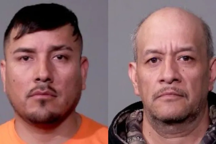 Joliet Drug Bust Exposes Backyard Cockfighting Den With 29 Birds And A Puppy