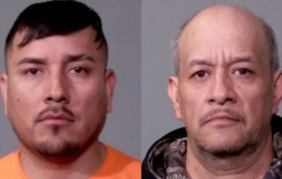 Joliet Drug Bust Exposes Backyard Cockfighting Den With 29 Birds And A Puppy