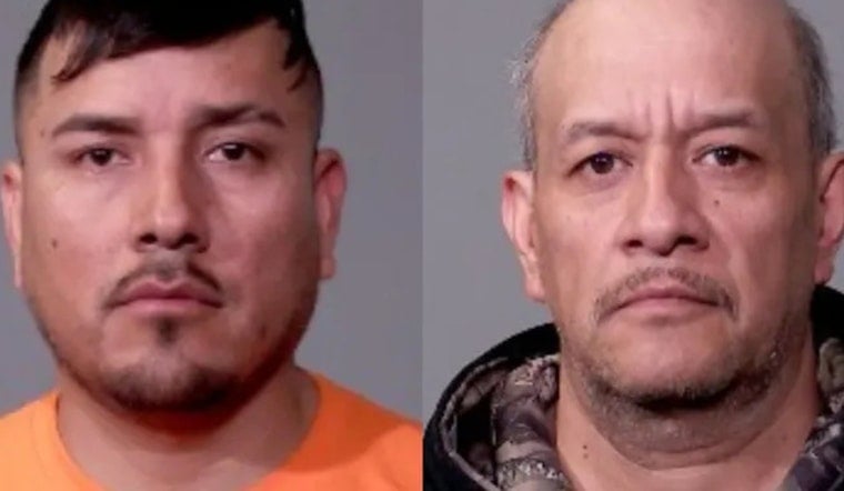 Joliet Drug Bust Exposes Backyard Cockfighting Den With 29 Birds And A Puppy