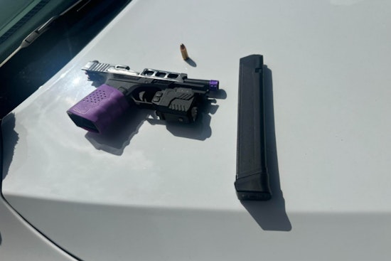 K-9 Hero Mattress Mack Sniffs Out Hidden Gun After Houston Carjacking Bust