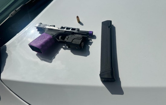 K-9 Hero Mattress Mack Sniffs Out Hidden Gun After Houston Carjacking Bust