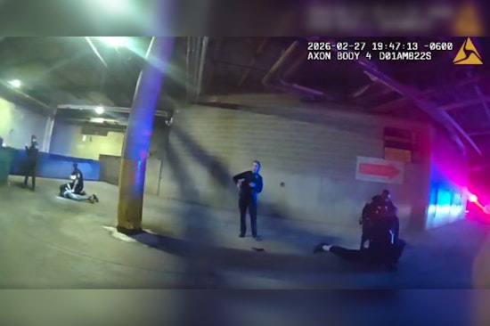 K9 Zev Nabs Tunnel-Hiding Suspect After Mayfair Mall Armed Robbery