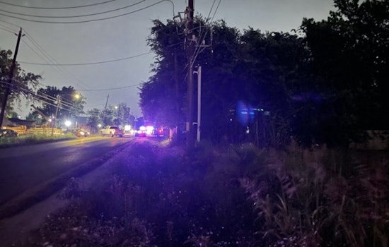 K9s Swarm Campbell as Houston Cops Hunt Theft Suspects