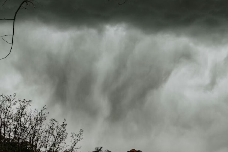 Kalamazoo Rocked as Fierce Winds Send Tree Crashing Through Roof