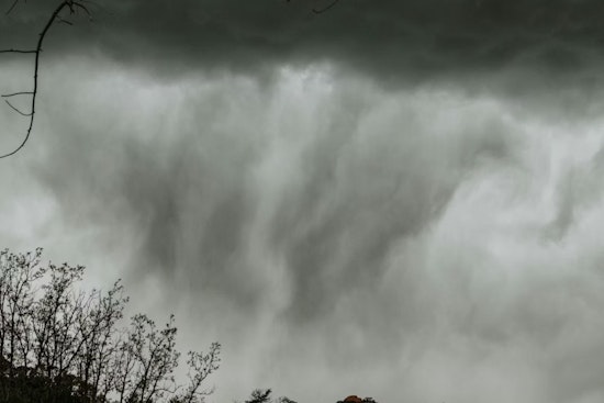 Kalamazoo Rocked as Fierce Winds Send Tree Crashing Through Roof