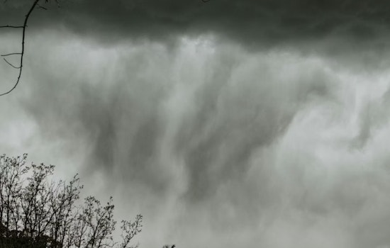 Kalamazoo Rocked as Fierce Winds Send Tree Crashing Through Roof