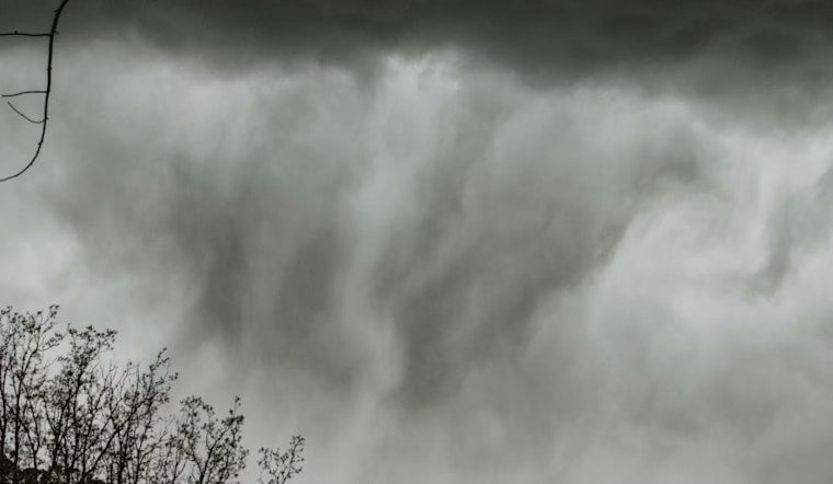 Kalamazoo Rocked as Fierce Winds Send Tree Crashing Through Roof