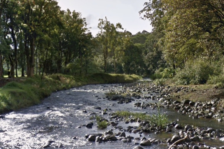 Kapaa Stream Tragedy Missing Woman Found Dead Near Keahua Arboretum
