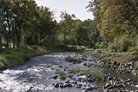 Kapaa Stream Tragedy Missing Woman Found Dead Near Keahua Arboretum