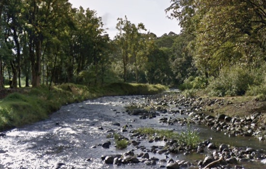 Kapaa Stream Tragedy Missing Woman Found Dead Near Keahua Arboretum