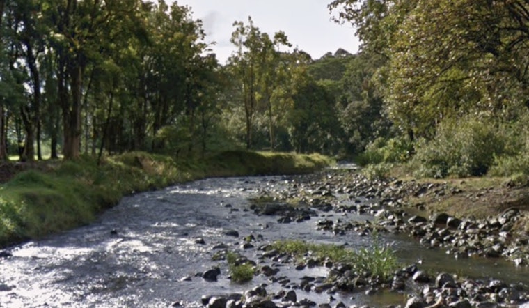 Kapaa Stream Tragedy Missing Woman Found Dead Near Keahua Arboretum