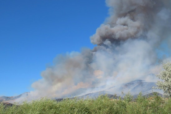 Keel Court Chaos As Nassau Brush Fire Forces Sudden Evacuations