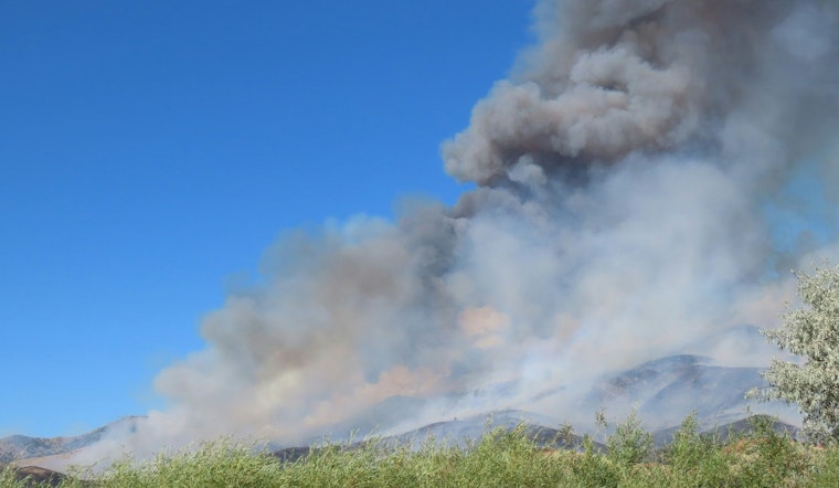 Keel Court Chaos As Nassau Brush Fire Forces Sudden Evacuations