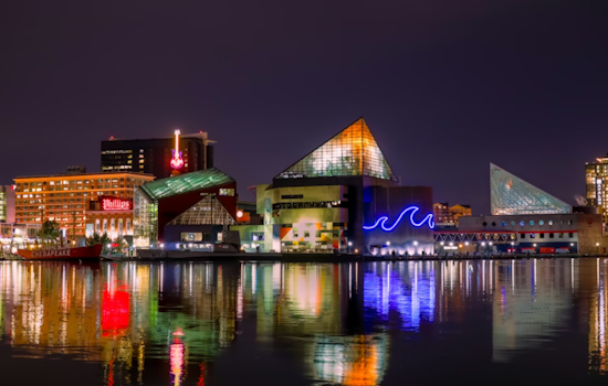 Kireem Swinton Takes the Reins at Visit Baltimore as City Bets on Tourism Surge