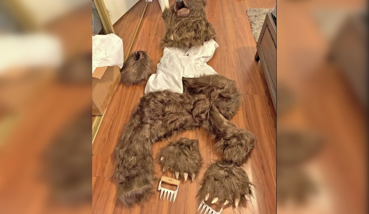 Lake Arrowhead 'Bear' Scam Busted as LA Trio Snagged For Rolls-Royce Ruse