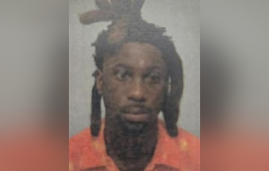 Lake City Mustang Chase Ends In Drive-By Shooting Bust