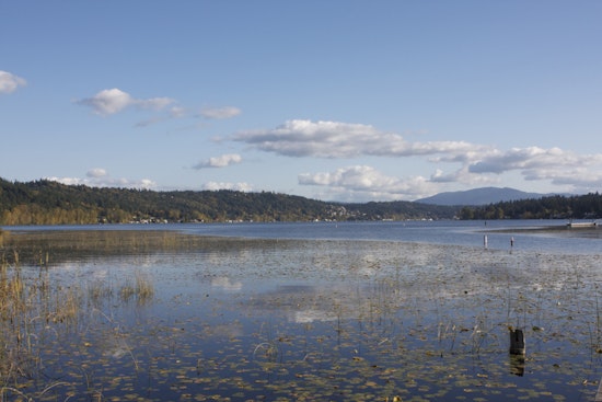 Lake Sammamish Turns Brown As Sewage Spill Sparks Bellevue Water Warning