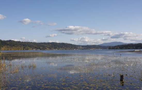 Lake Sammamish Turns Brown As Sewage Spill Sparks Bellevue Water Warning