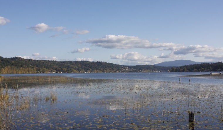 Lake Sammamish Turns Brown As Sewage Spill Sparks Bellevue Water Warning
