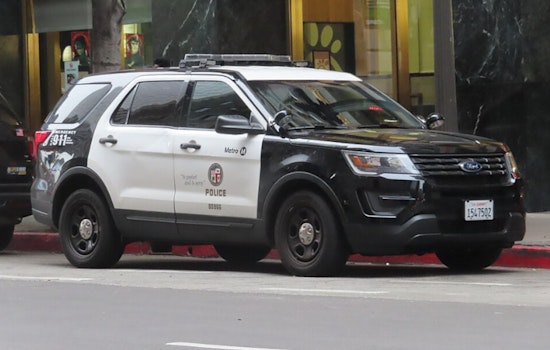 LAPD Probes 7-Eleven Robberies in Palms and Westlake