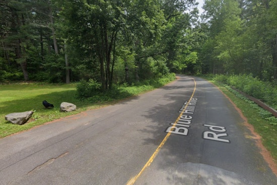 Late-Night Dog Attack Near Houghton's Pond Ends In Stabbing