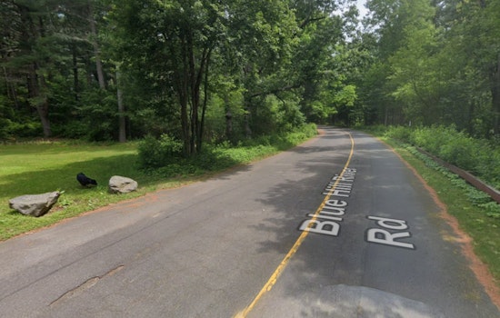 Late-Night Dog Attack Near Houghton's Pond Ends In Stabbing