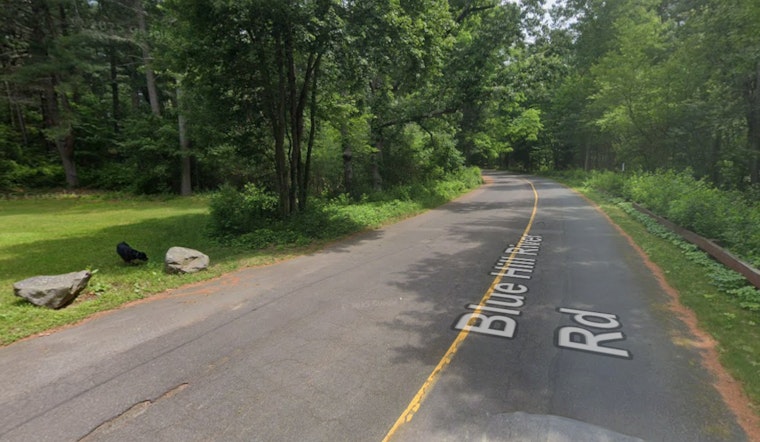 Late-Night Dog Attack Near Houghton's Pond Ends In Stabbing