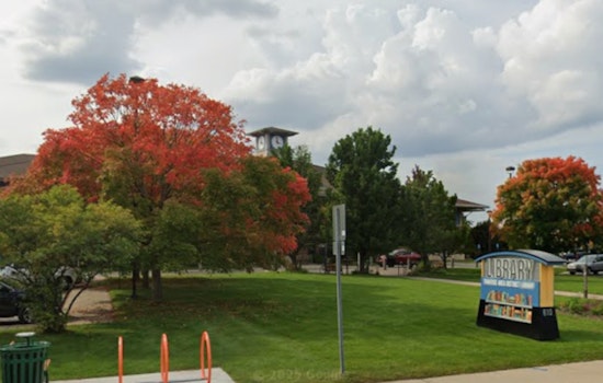 Library Lot Showdown: Traverse City Senior Hit With Axe After Red-Light Standoff