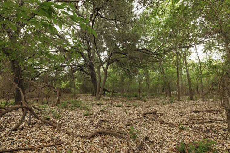 Lockhart State Park Snaps Up 188 Acres in Big Land Deal