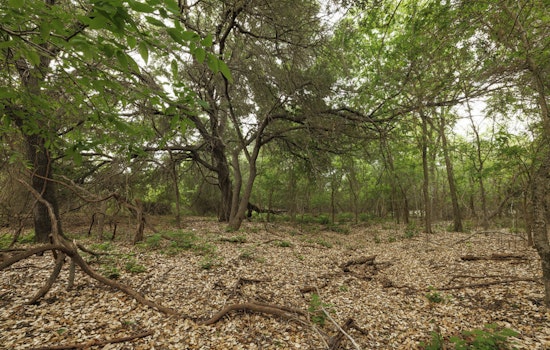 Lockhart State Park Snaps Up 188 Acres in Big Land Deal