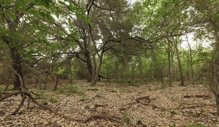Lockhart State Park Snaps Up 188 Acres in Big Land Deal