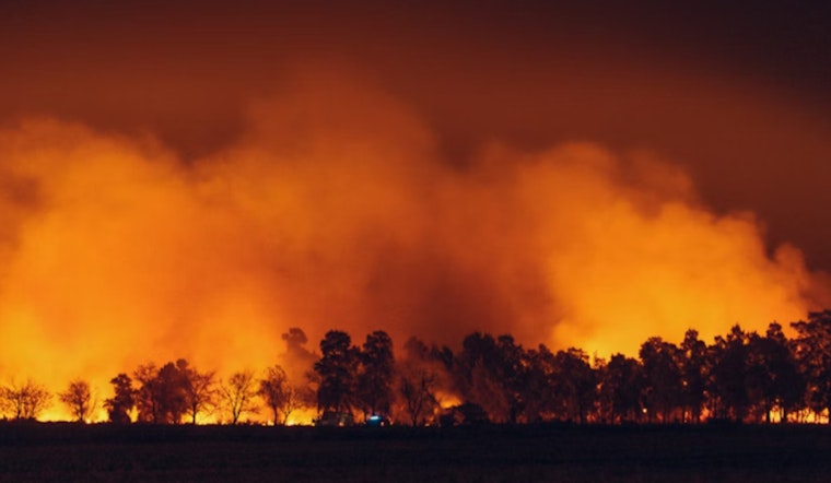 Loop Fire Erupts In Mono County High Country As Crews Monitor Spread