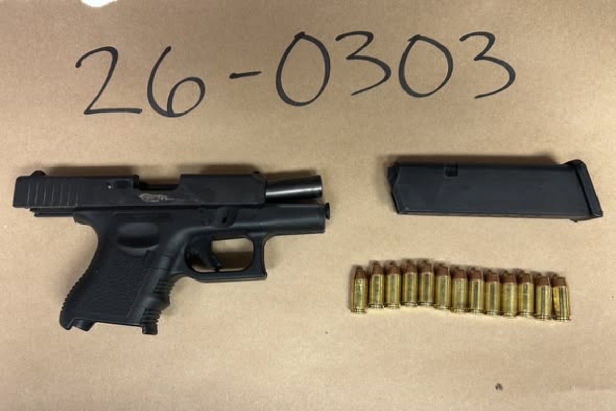 Los Altos Cops Say Driver Hurled Loaded Gun Onto Foothill During Stop