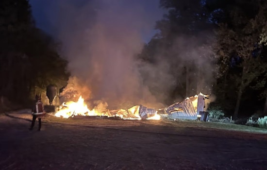 Lula Chicken House Inferno Wipes Out 22,000 Birds Overnight