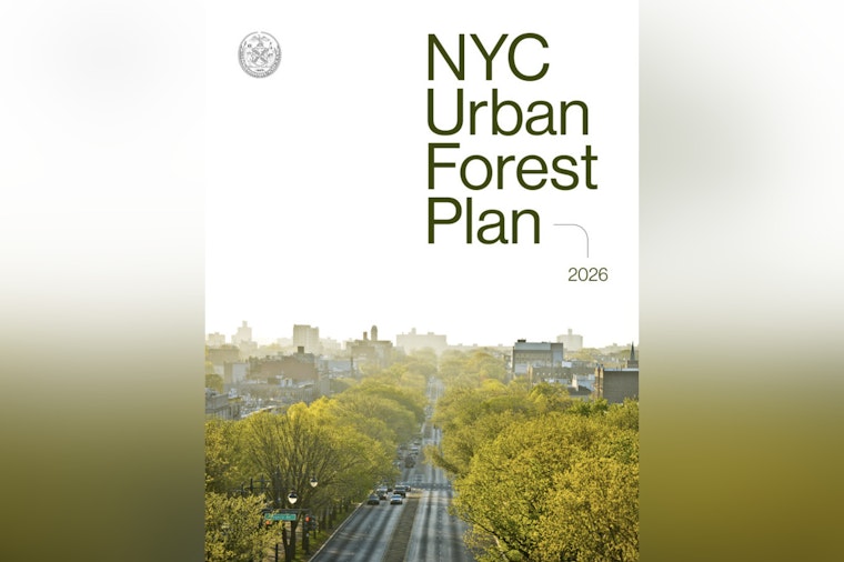 Mamdani’s Tree Blitz Aims To Chill NYC’s Hottest Blocks