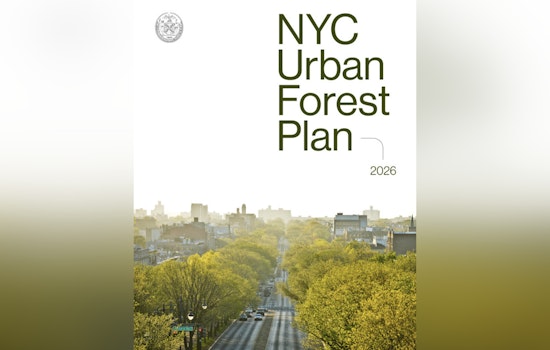 Mamdani’s Tree Blitz Aims To Chill NYC’s Hottest Blocks