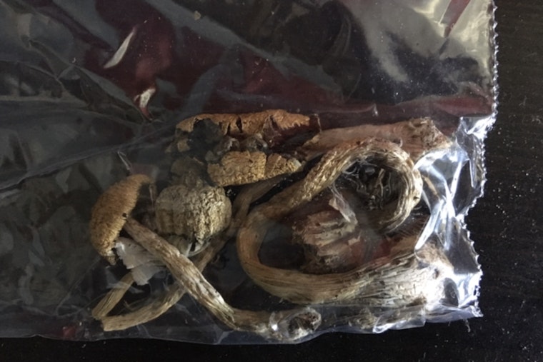 Manhattan Pol's Psychedelic Push Puts Albany on Collision Course With D.C.