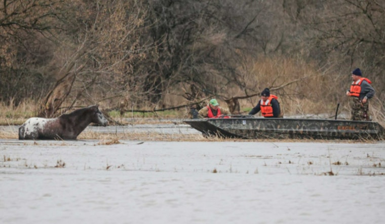 Marengo Heroes Haul Hypothermic Horse From Swollen Coon Creek