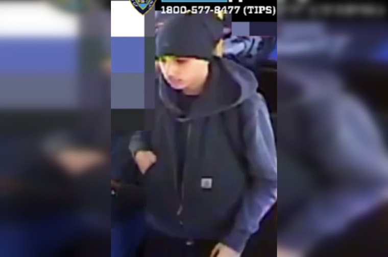 Marine Park Slasher Cuts Teen, Runs Off With Fried Chicken Bag