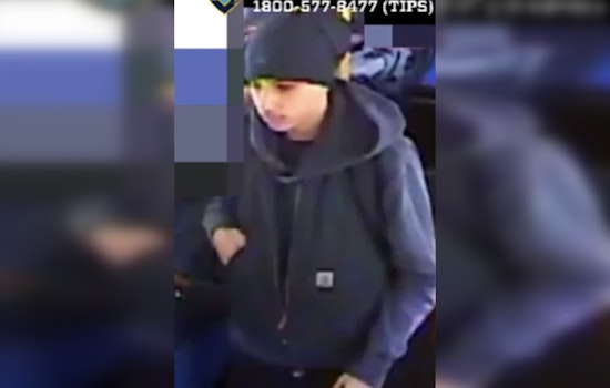 Marine Park Slasher Cuts Teen, Runs Off With Fried Chicken Bag