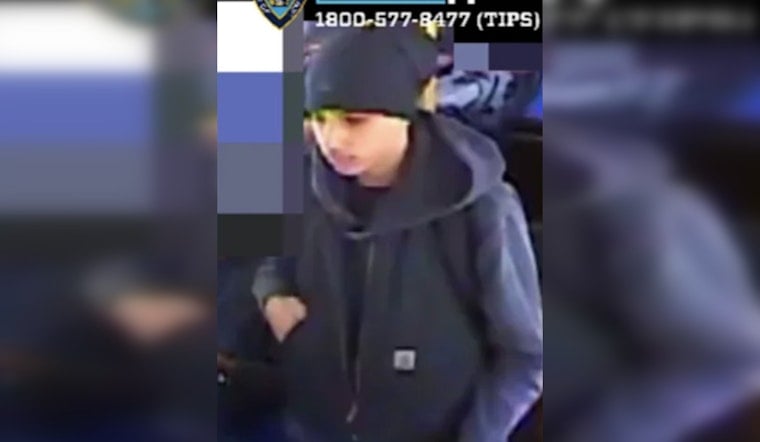 Marine Park Slasher Cuts Teen, Runs Off With Fried Chicken Bag