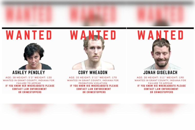 Marion Manhunt Deputies Blast Felony Fugitive Friday Trio